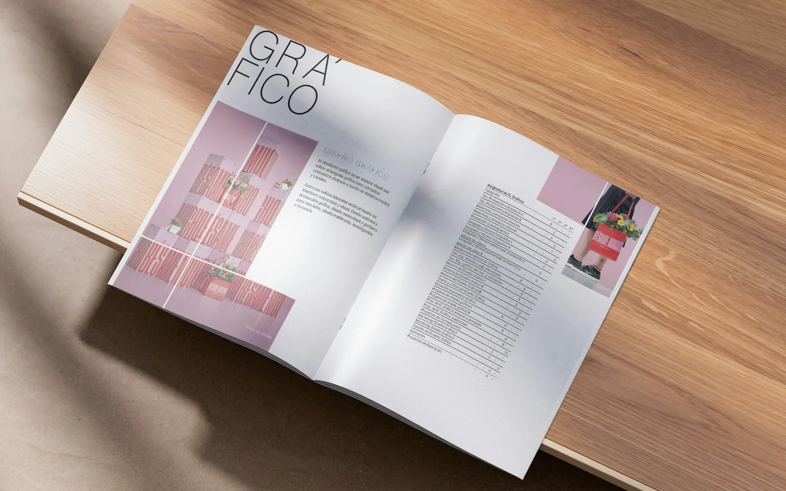 An open printed brochure showing a clean editorial page layout.